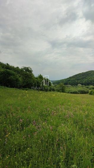 Teren agricol extravilan de 20 mp, în Daneș