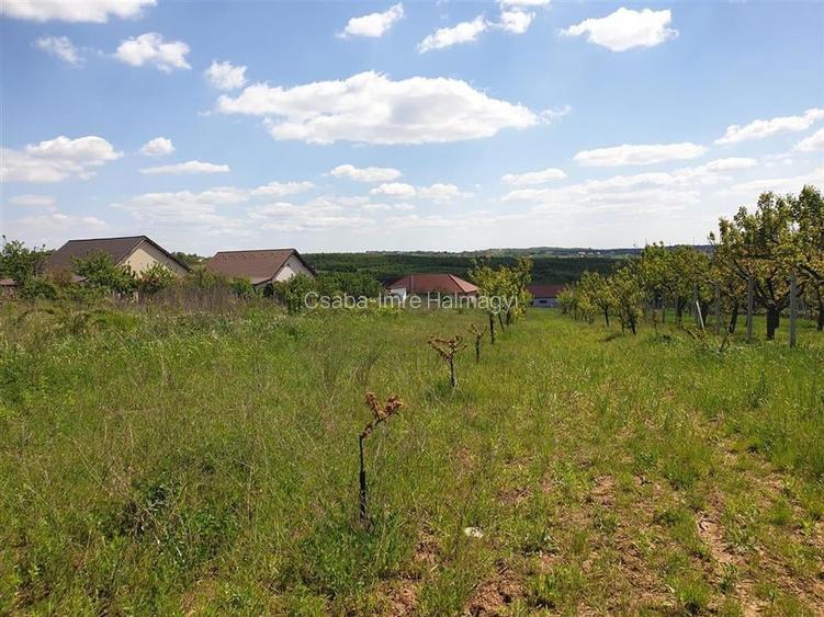 Teren Construcții intravilan de 2929 mp, în Săldăbagiu de Munte Teren Construcții intravilan de 2929 mp, în Săldăbagiu de Munte