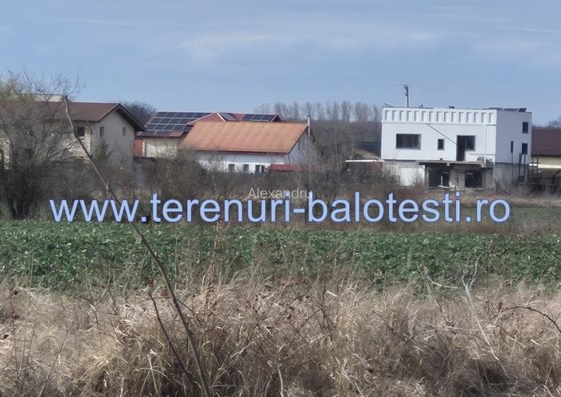 Teren cu gaz si electric la hotar,langa padure 730 mp Teren cu gaz si electric la hotar,langa padure 730 mp