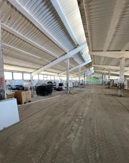 Hala situata in Ovidiu - 6