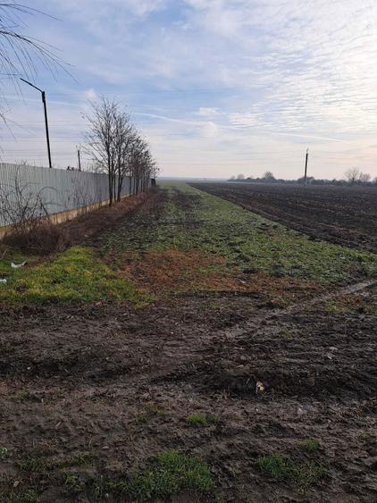 Teren de vanzare intravilan Urlati - 2