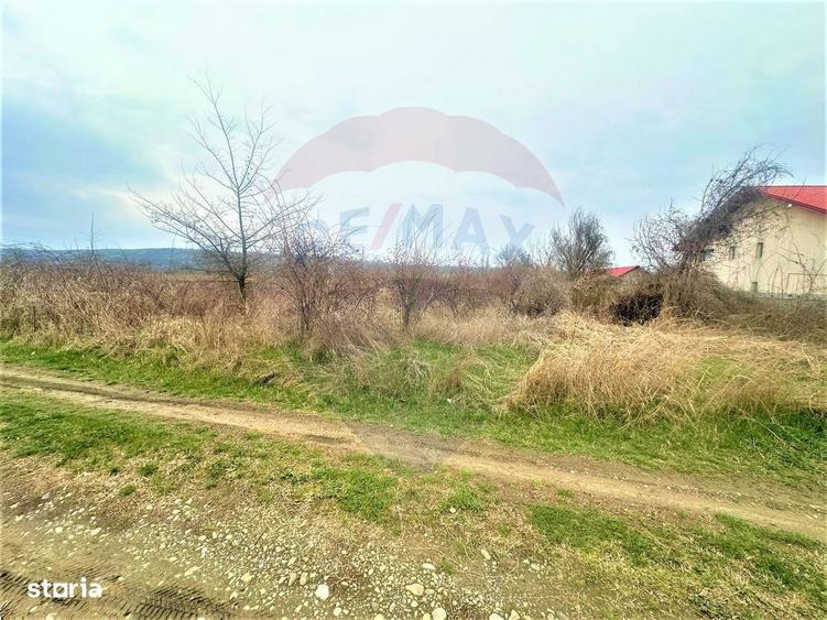 Teren 1,522mp Hemeius / Calea MOLDOVEI - 7