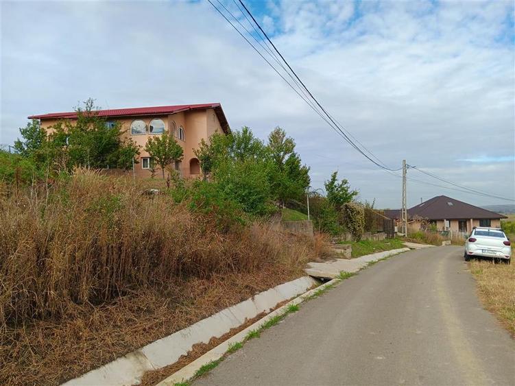 Chiperesti  Tomesti  Vila P+E SU=236mp 5 dormitoare living doua bai garaj TEREN - 2