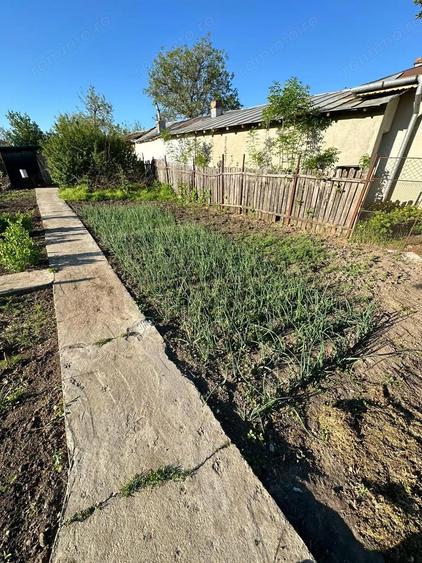 Direct proprietar: Casa demolabila + teren 1167 mp - 4