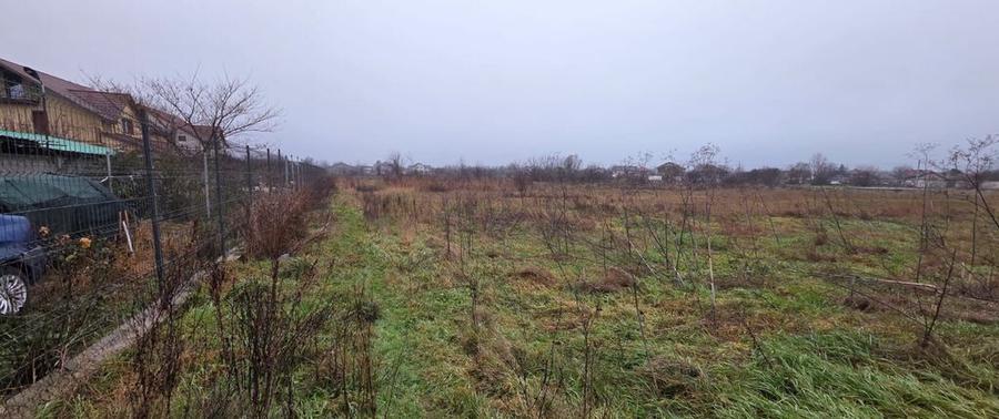 Teren 5000 mp 1 decembrie - strada Oituz - 5