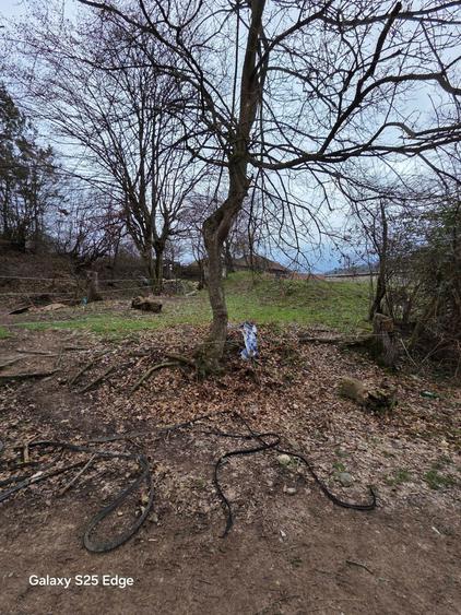 teren intravilan - 4