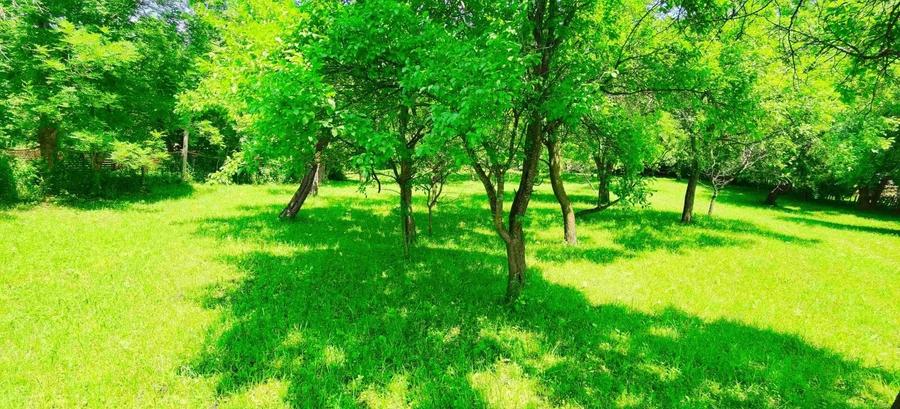 Teren Construcții intravilan de 9289 mp, în Breaza