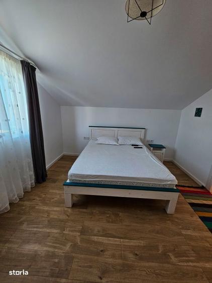 Casa de vacanta sau afacere profitabila? Delta Dunarii Bratul Sulina - 12