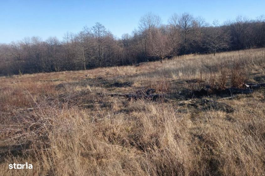 Teren extravilan | Vicovu de Jos | Pret 25.000 - 9