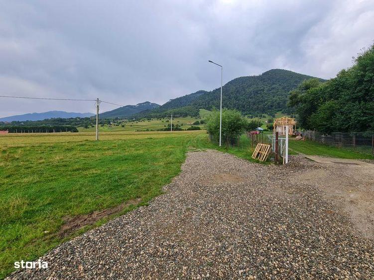 Teren de vanzare - 7
