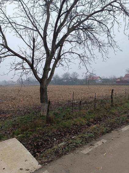 Vind casa batrineasca - 1