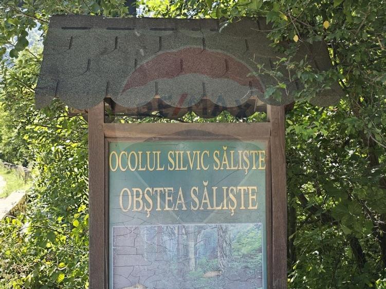 Teren 4,000mp Pascoaia / Soseaua Punctul Chiliilor - 12