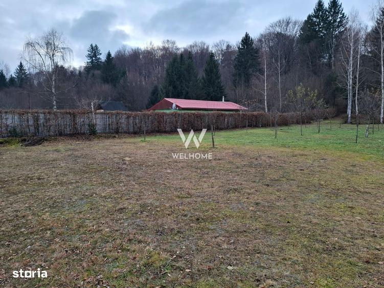 Teren deosebit pozitionat, cu livada, langa padure, pe Valea Avrigulu - 6