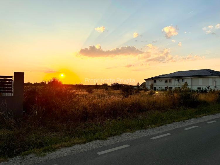 Teren 5.000 mp intravilan – Str. Aeroportului, Cârcea (Craiova) – front 52 m, P+