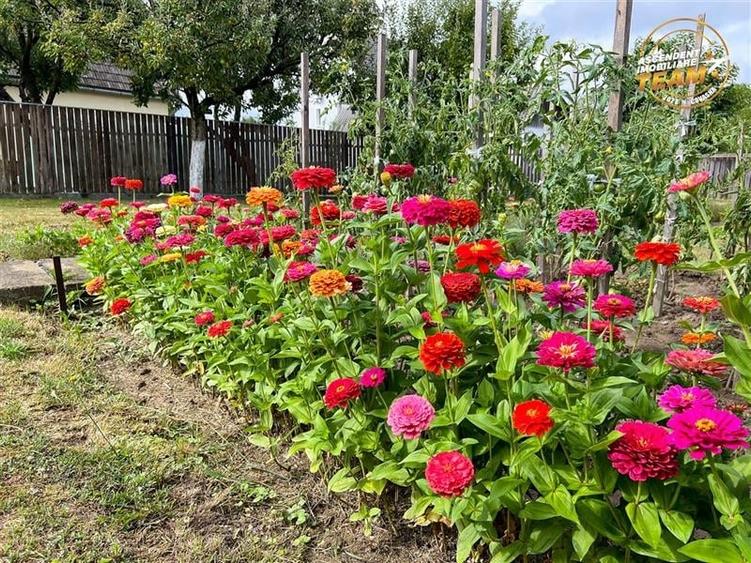 Tur 3D! Resedinta notabila,pe armonios cadru natural,distinse faciliati,Central, - 12