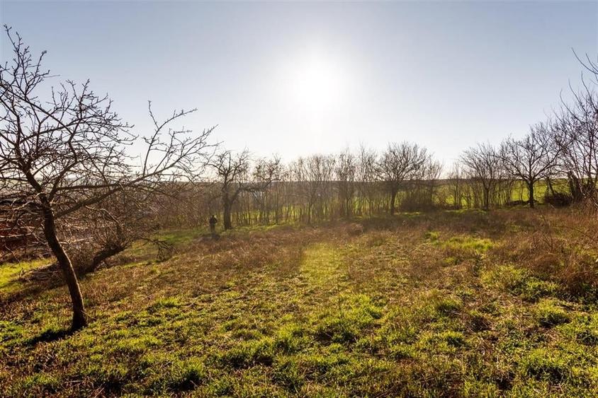 RECO. CASA LA ROSU , CETARIU - 14