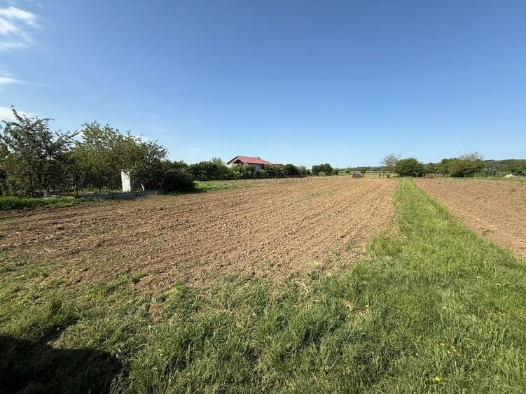 De vanzare 2 loturi de teren de 500mp in Ciorogarla, Str. Cartonari - 5