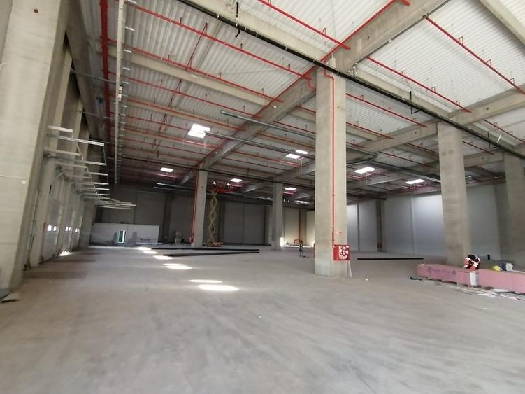 Spatii logistice Bacau - 1