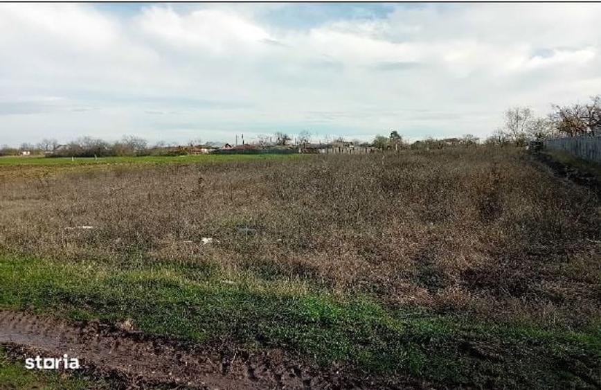 Cota de 1679/1758 din teren-Loc. Mirosi, jud. Arges - 5