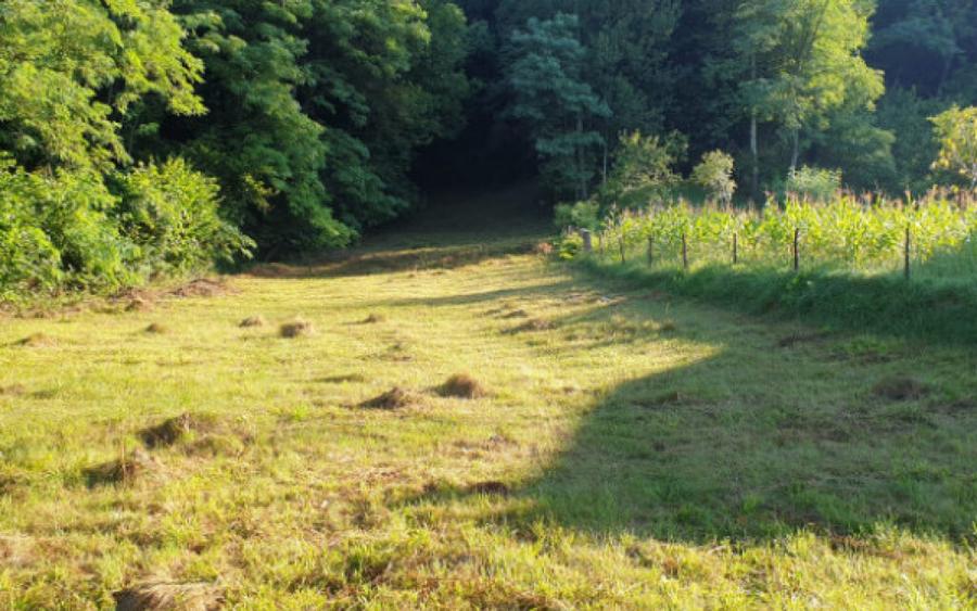 Teren 7000mp Pucioasa - Zona Pitoreasca - 3