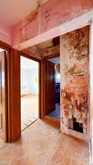 Apartament 3 camere Colentina Doamna Ghica - 19