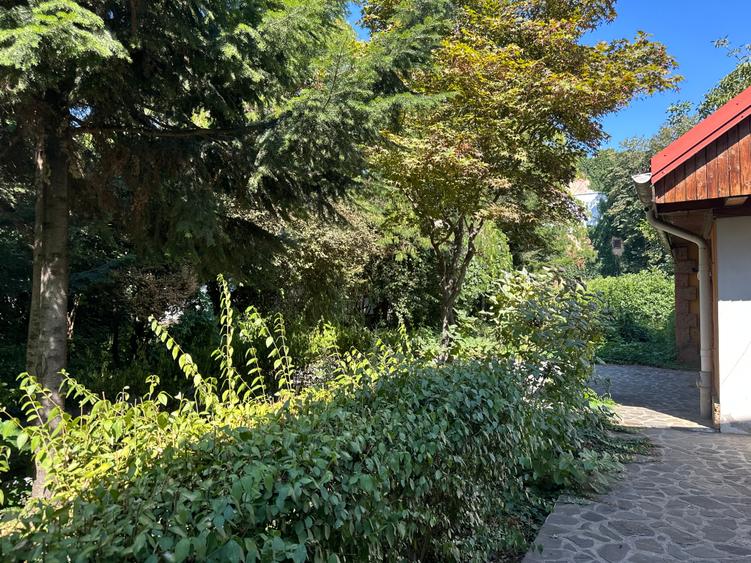 Casă spatioasa pe Calea Moșilor/ Spacious house on Calea Mosilor - 15