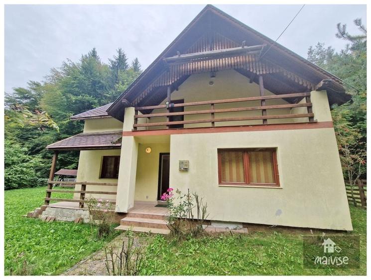 Casa de vacanta, Valea Bozom-Apata - 19