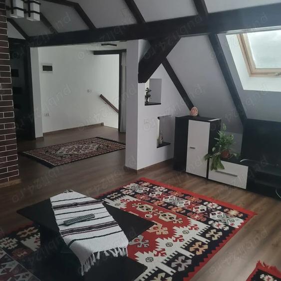 Vila+ teren de 2,2ha la 5 km de Vatra Dornei - 4