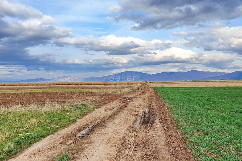 Teren extravilan Tarlungeni - 5