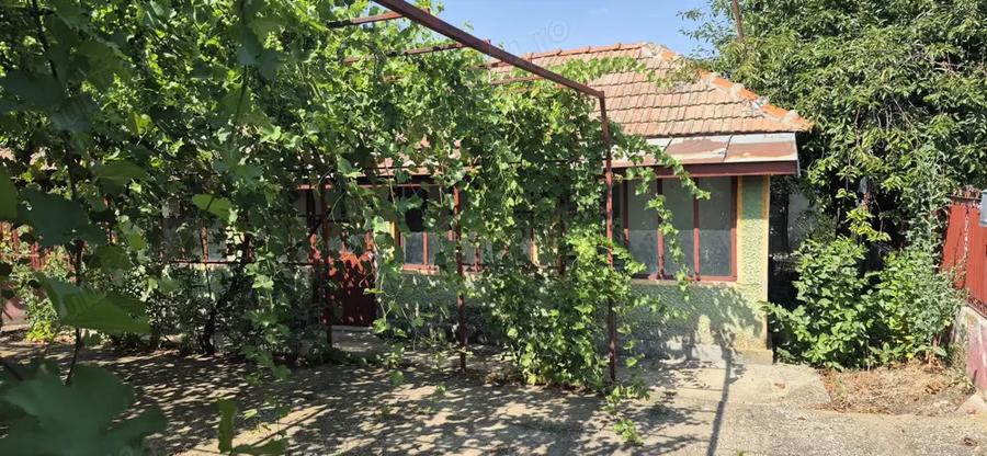 Casa cu spatiu comercial si livada de vanzare - Crangu - Teleorman - 2