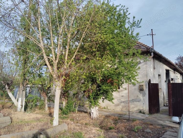 Casa tradi?ionala cu teren grneros - 1