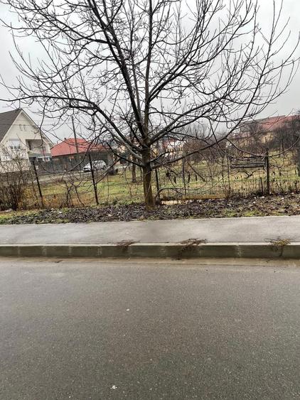 Vand teren 700 mp, zona Oncea, str Bunytai Vince nr 65 - 3