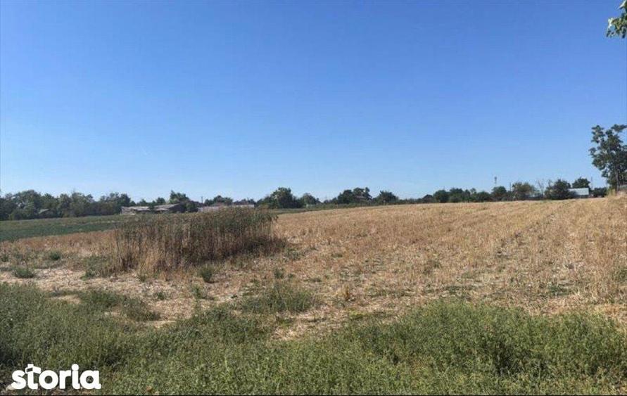 Teren intravilan - 4.000 mp, Loc. Roseti - 1