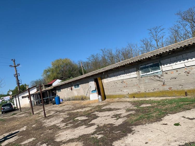 Fermă de vânzare - DN3 - 84m deschidere - 12