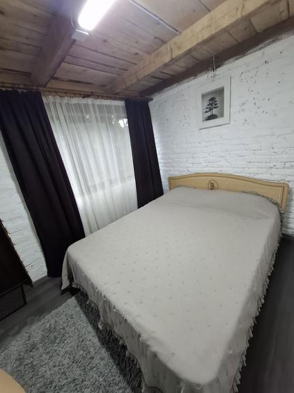 Cabana Zona Turistica Bistra Muresului - 8