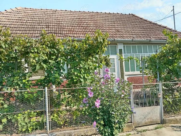Casa de vanzare cu gradina Iclandu Mare - 8