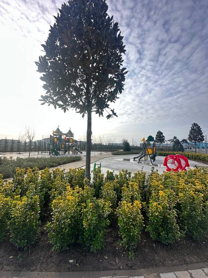 Studio Modern într-un Ansamblu Exclusivist – West Avenue Residence - 1