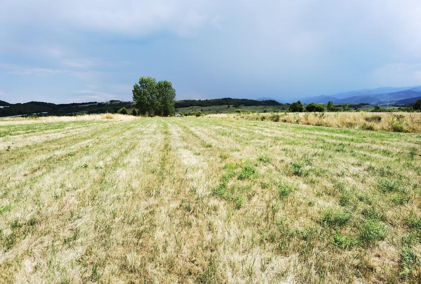 Teren intravilan 2.900 mp – oportunitate de investiție, acces direct la DJ 106D - 9