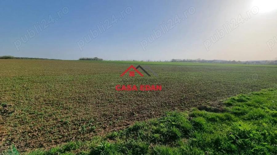 Teren extravilan in Urleta--5000m--18.500e - 2