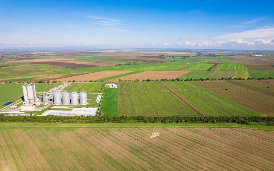 Teren de 104000 mp in Vinga - 7