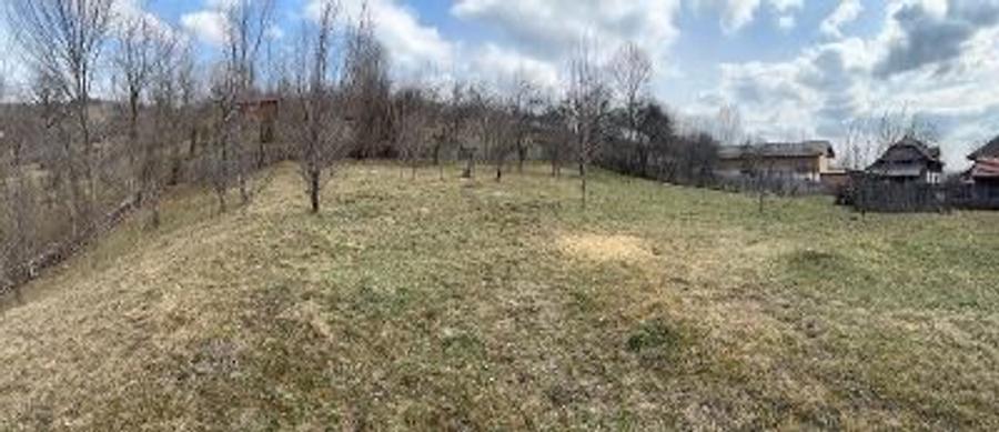 Casa de vanzare Stefesti - 1