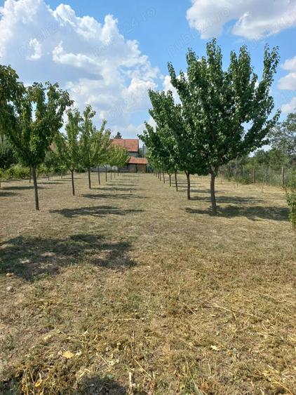 Casa de vanzare in Cuvin - 10