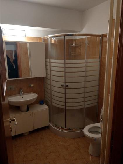 Apartament 3 camere Suprafață generoasă Etaj 1 Brâncuși – Valea Largă - 9