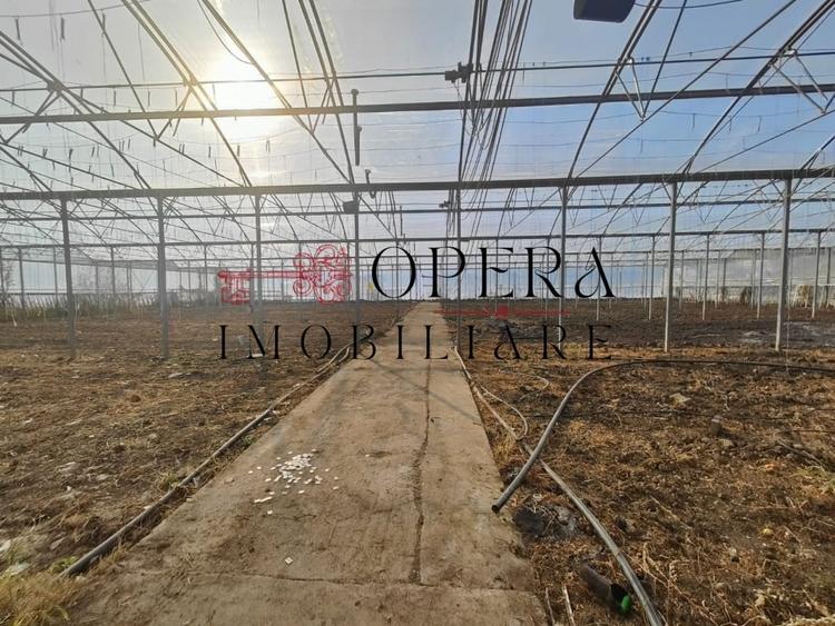 Teren intravilan 5000mp+Cladire265mp + Sera(2500mp), Rediu Aldei-Aroneanu - 6