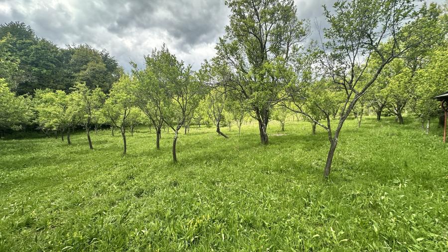 Teren intravilan 3102mp zona Racovita-Blanoiu - 7