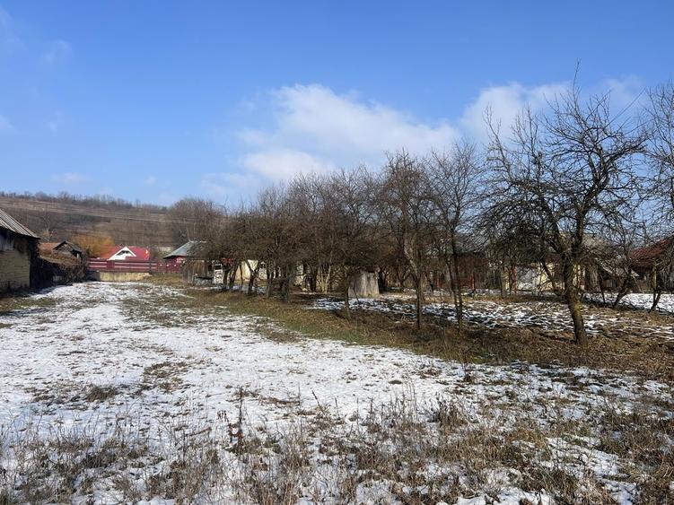 Casa batraneasca - curte si gradina 1924 mp + 2100 livada - 5