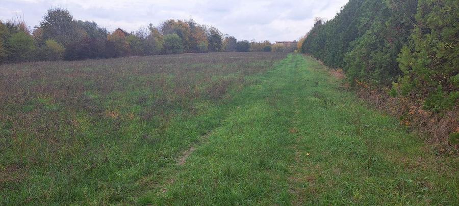 OAZA DE LINISTE SI RAFINAMENT LA MALUL LACULUI - 3