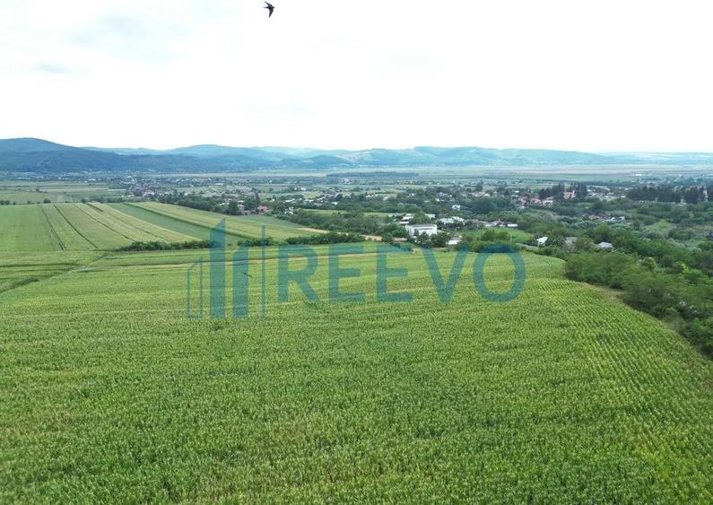 Teren de 3.600 mp Racova - 6