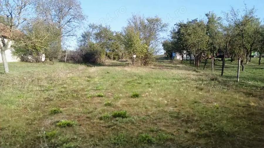 Teren intravilan 2020 mp ARDUD VII str. Salcamilor nr.11 - 1