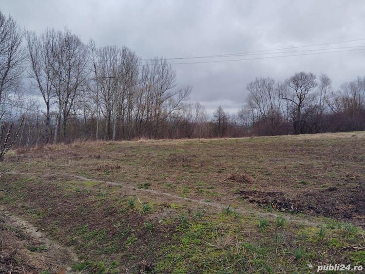 Casa de vanzare Siret - 5